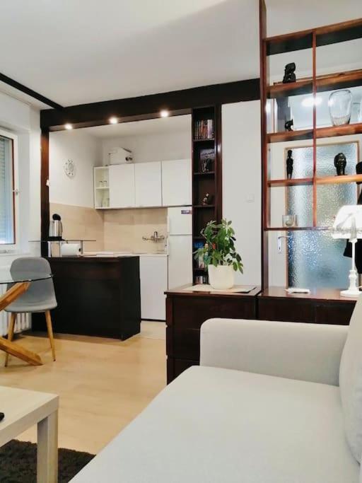 Dorcol Hideaway Appartement Belgrado Buitenkant foto